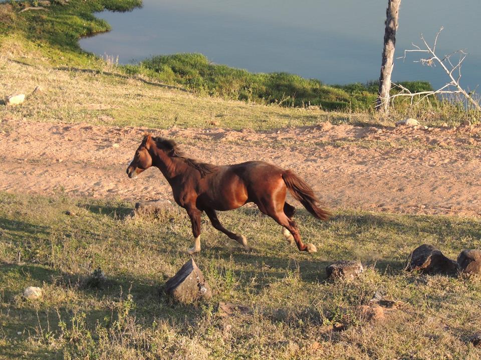 Hotel E Pousada Recanto Do Rio Pardo São José do Rio Pardo Dış mekan fotoğraf