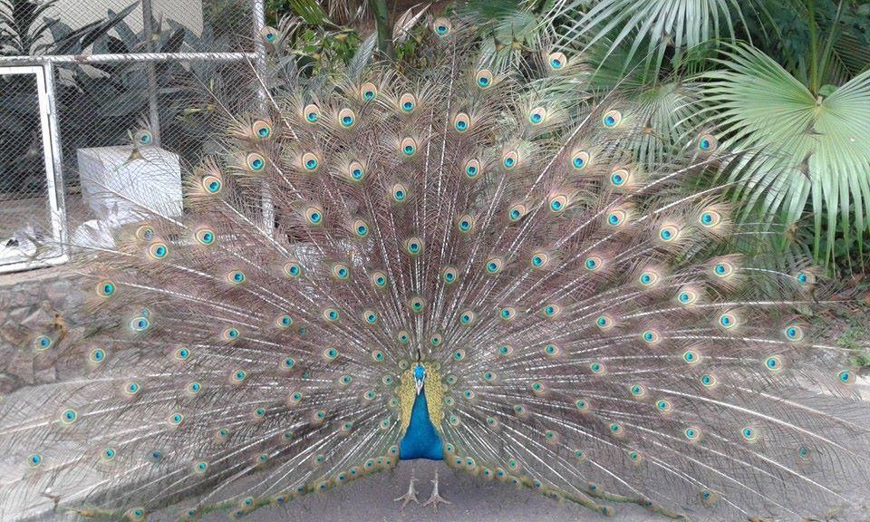 Hotel E Pousada Recanto Do Rio Pardo São José do Rio Pardo Dış mekan fotoğraf